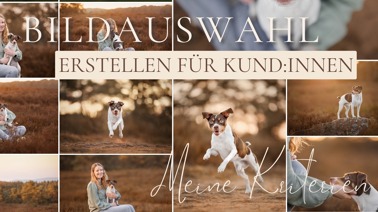 So erstelle ich die Bildauswahl für meine Kunden | Hundefotografie