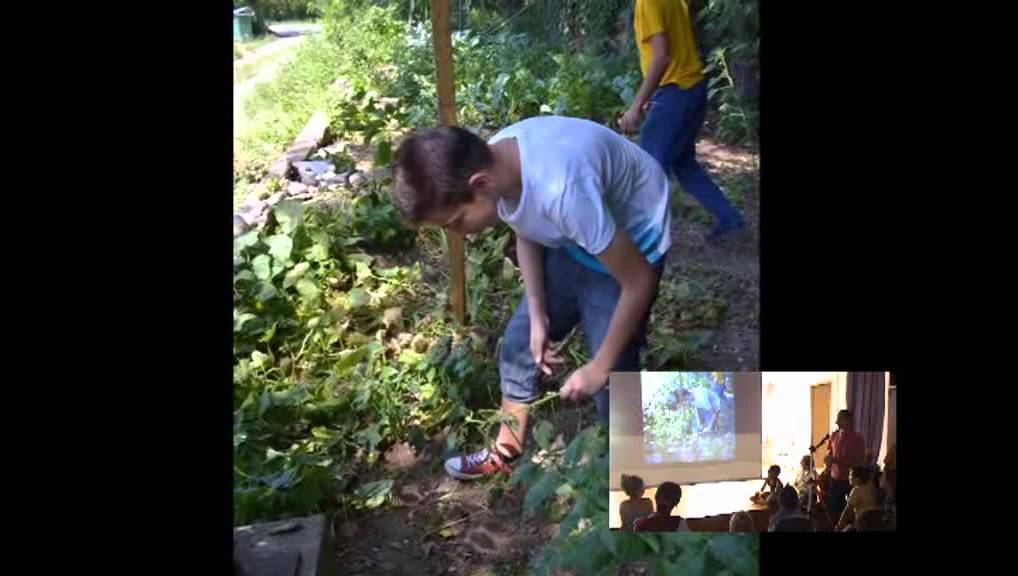 Waldorf Simeria: Spectacol TIA 2013 partea 1/2