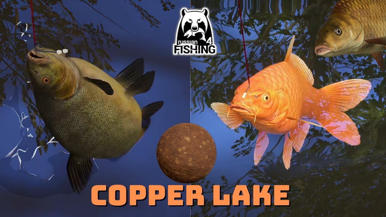 Kvolsdorfsky & Orenji Ogon & F1  Copper Lake | Russian Fishing 4 (80)