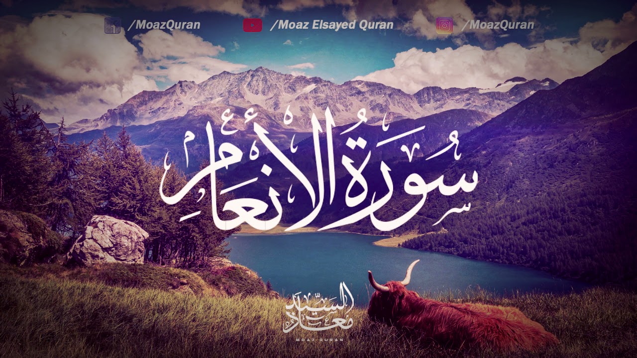 Soothing Recitation of Surah Al-An'aam | Qari' Moaz Elsayed | القارئ معاذ السيد (Surah 06)