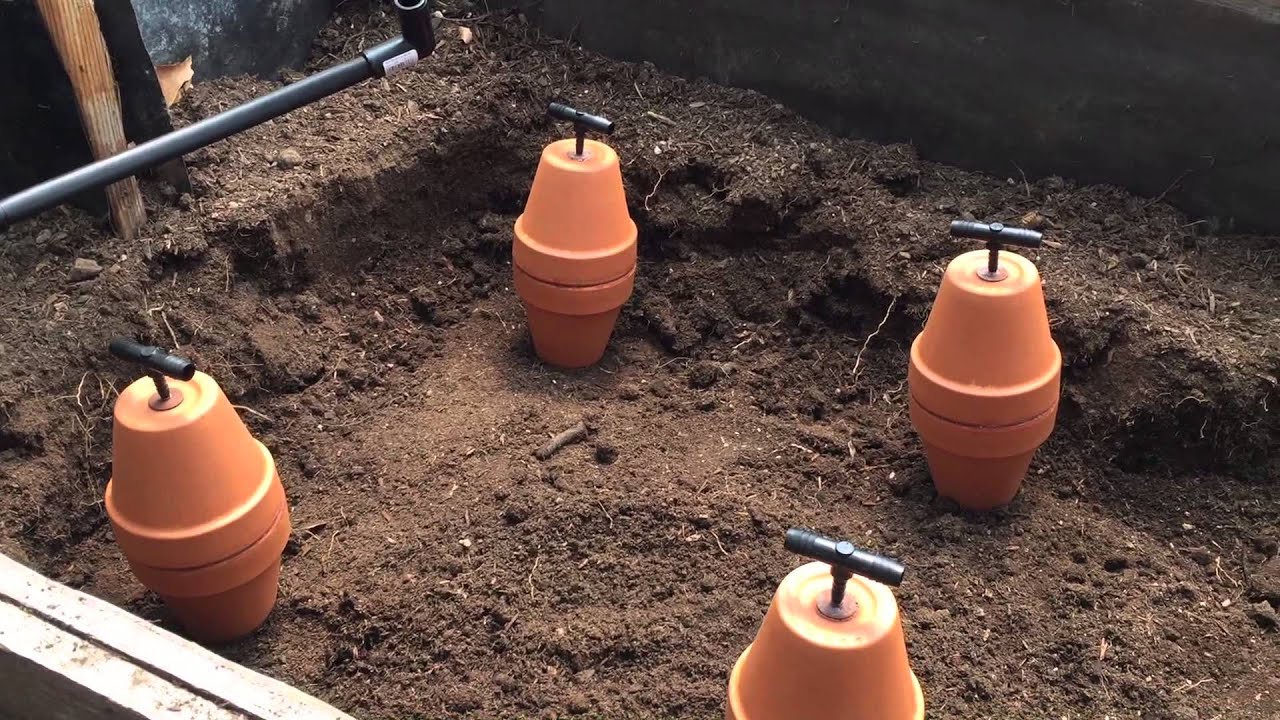 Save Water While Still Getting the Best Results by Installing Ollas in the Garden