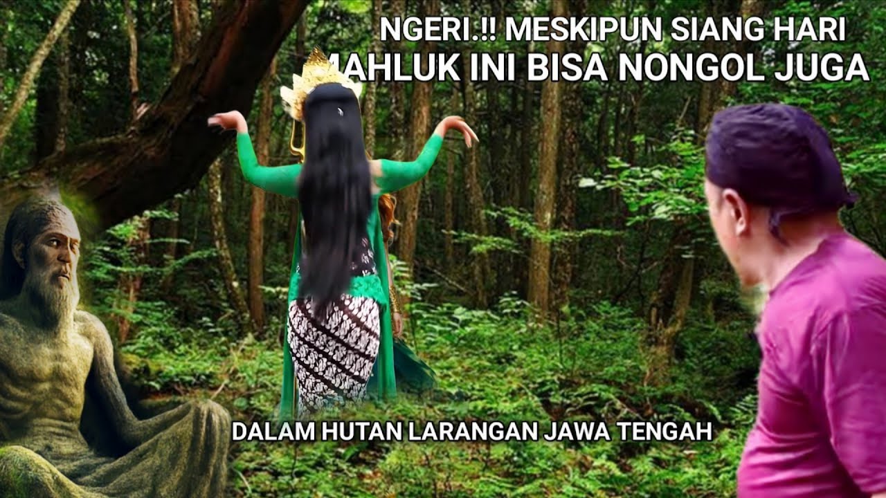 Pantesan selama ini menjadi hutan larangan, ternyata ini yang disembunyikan 