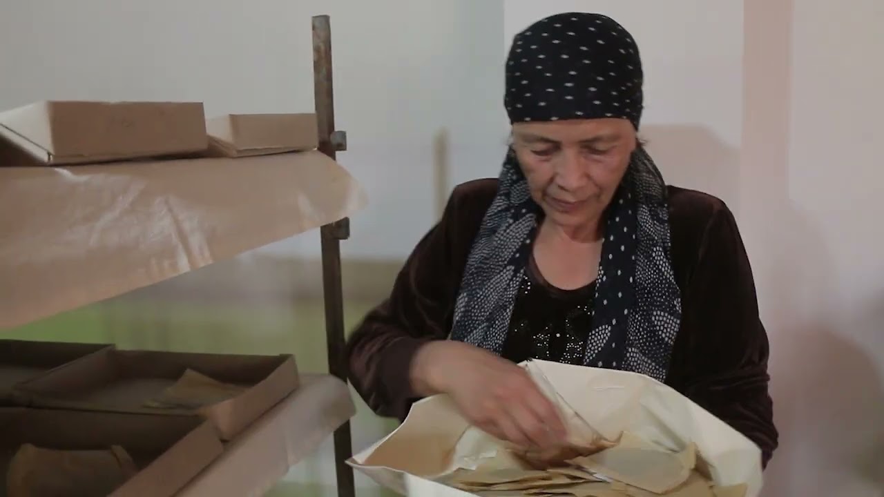 Dehqonchilik &ldquo;handaligi&rdquo; tumanimizda pilla