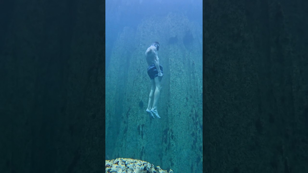 Freefall from the surface. Barracuda Lake, Coron Palawan, The Philippines 🇵🇭