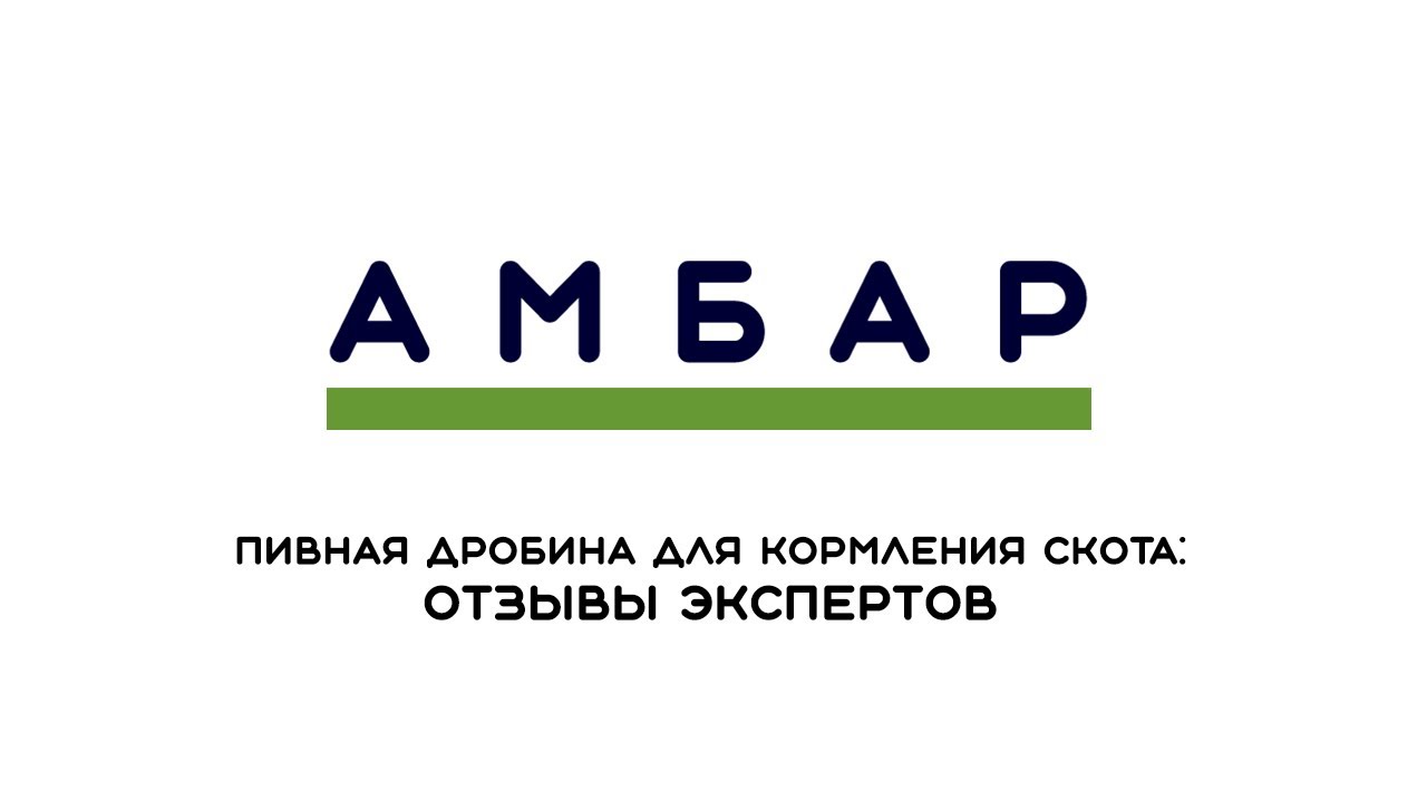 Пивная дробина для кормления скота: отзывы экспертов