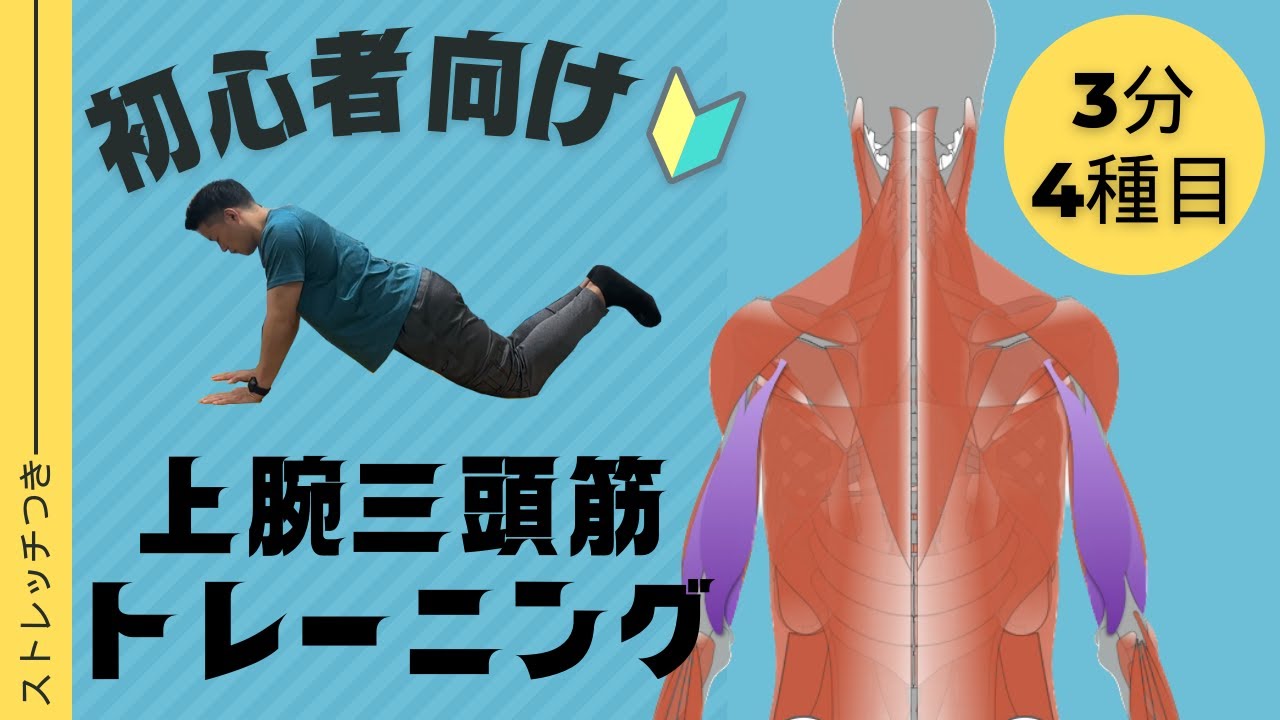 【初心者向け】上腕三頭筋トレーニング｜3分で4種目・ストレッチつき