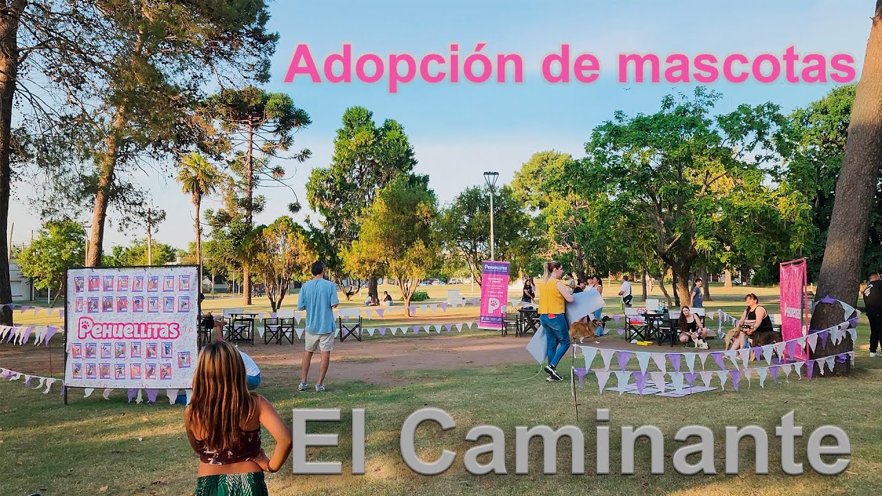 El Caminante Adopción de mascotas