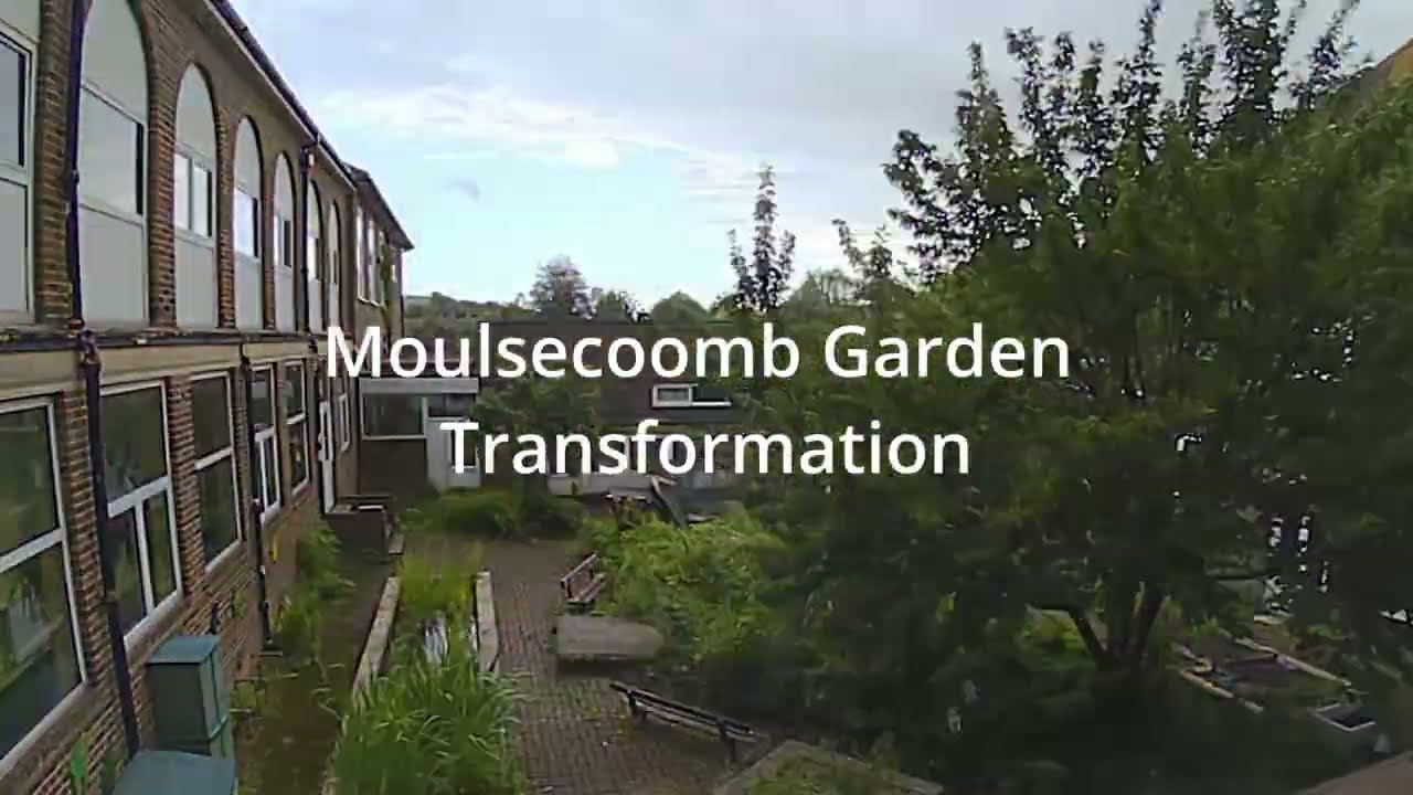 Transforming a Neglected Garden into a Paradise