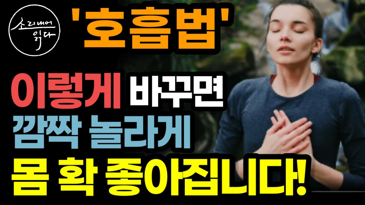 최신 하버드식 호흡의 기술! (쉽고 효과 짱 좋음) / 호흡법, 이렇게 바꾸면 깜짝 놀라게 몸 확 좋아집니다! / 초간단 노화방지 자율신경 조절법 / 책읽어주는여자 건강 오디오북
