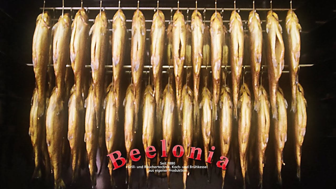 Forellenzucht Versetal | Beelonia - On The Road