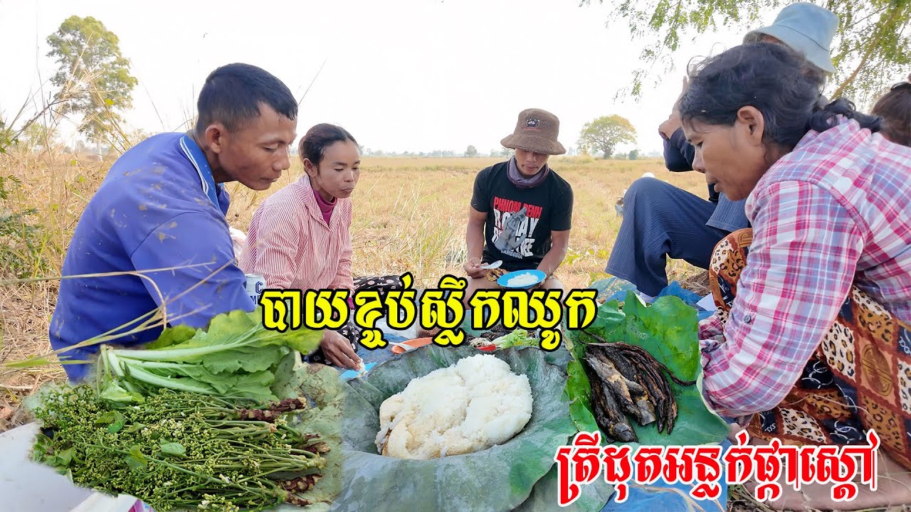 ឆ្ងាញ់មាត់ទៀតហេីយ​ ត្រីស្រែរស់ជាតិផ្អែមឆ្ងាញ់​ ត្រីដុតអន្លក់ផ្កាស្ដៅ​បាយខ្ចប់ស្លឹកឈូក