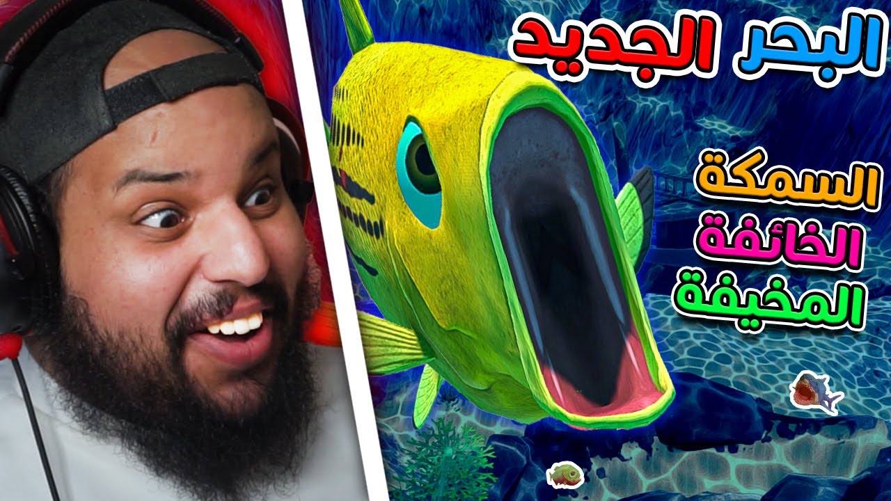 السمكة مصدومة من البحر الجديد
