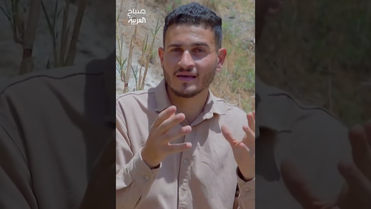 صيد النحل البري في الاردن لقطات عام 2025