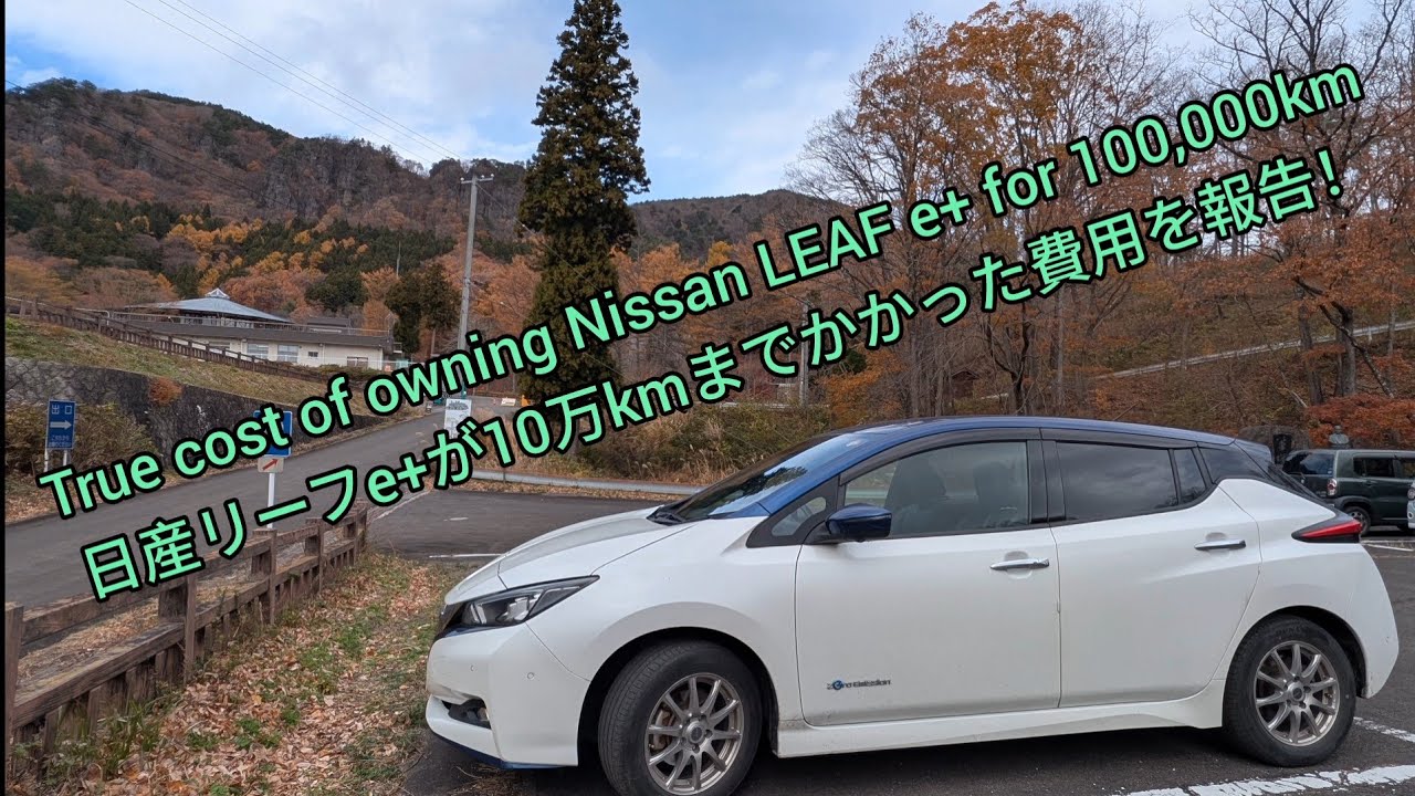 Реальная стоимость владения Nissan LEAF e+ на 100 000 км. Мы представляем отчет о стоимости владе...