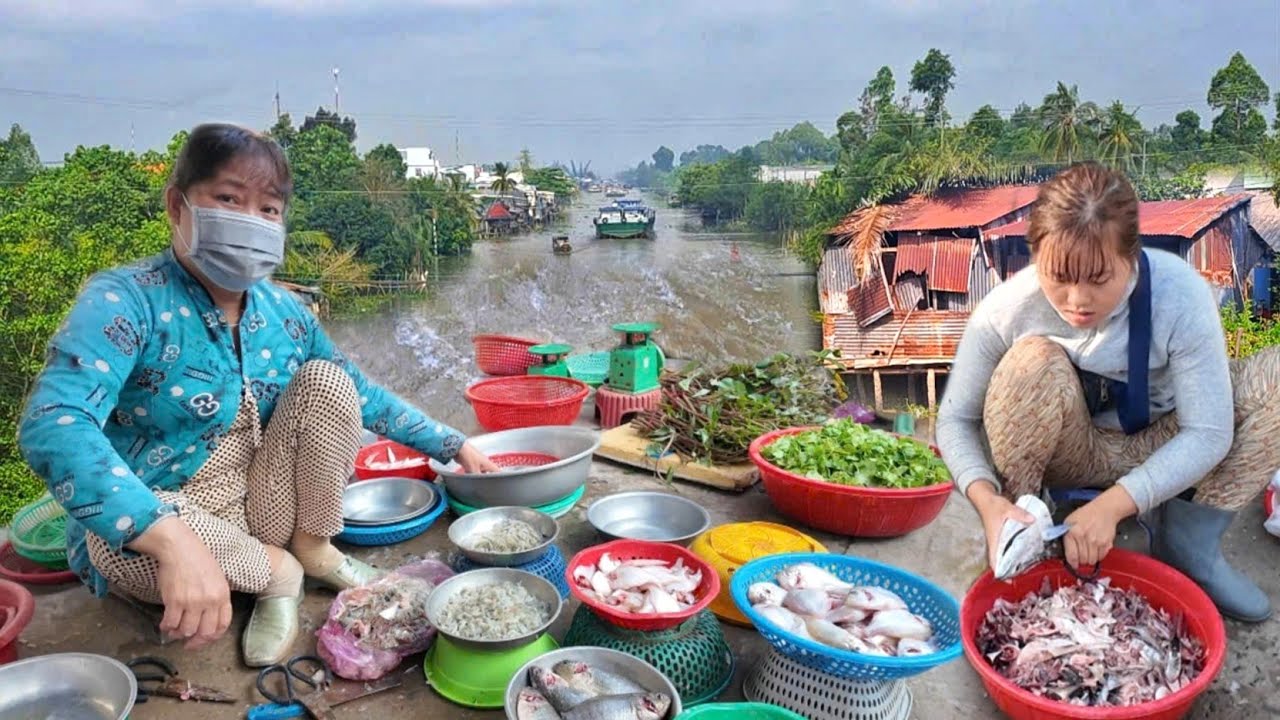KHỦNG KHIẾP CÁ CHẤT ĐỐNG ĐỐNG CHỢ QUÊ VÙNG SÔNG NƯỚC MIỀN TÂY BÁN RẺ CHƯA TỪNG THẤY