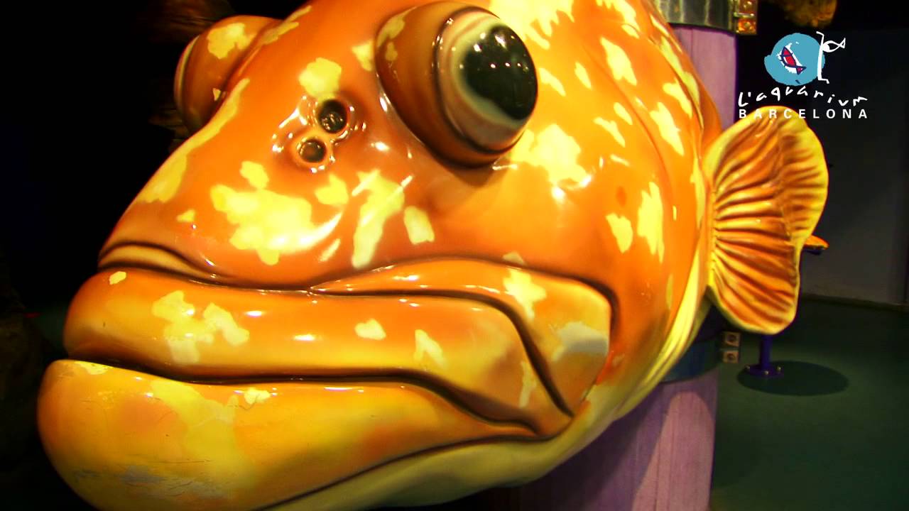L'Aquarium de Barcelona