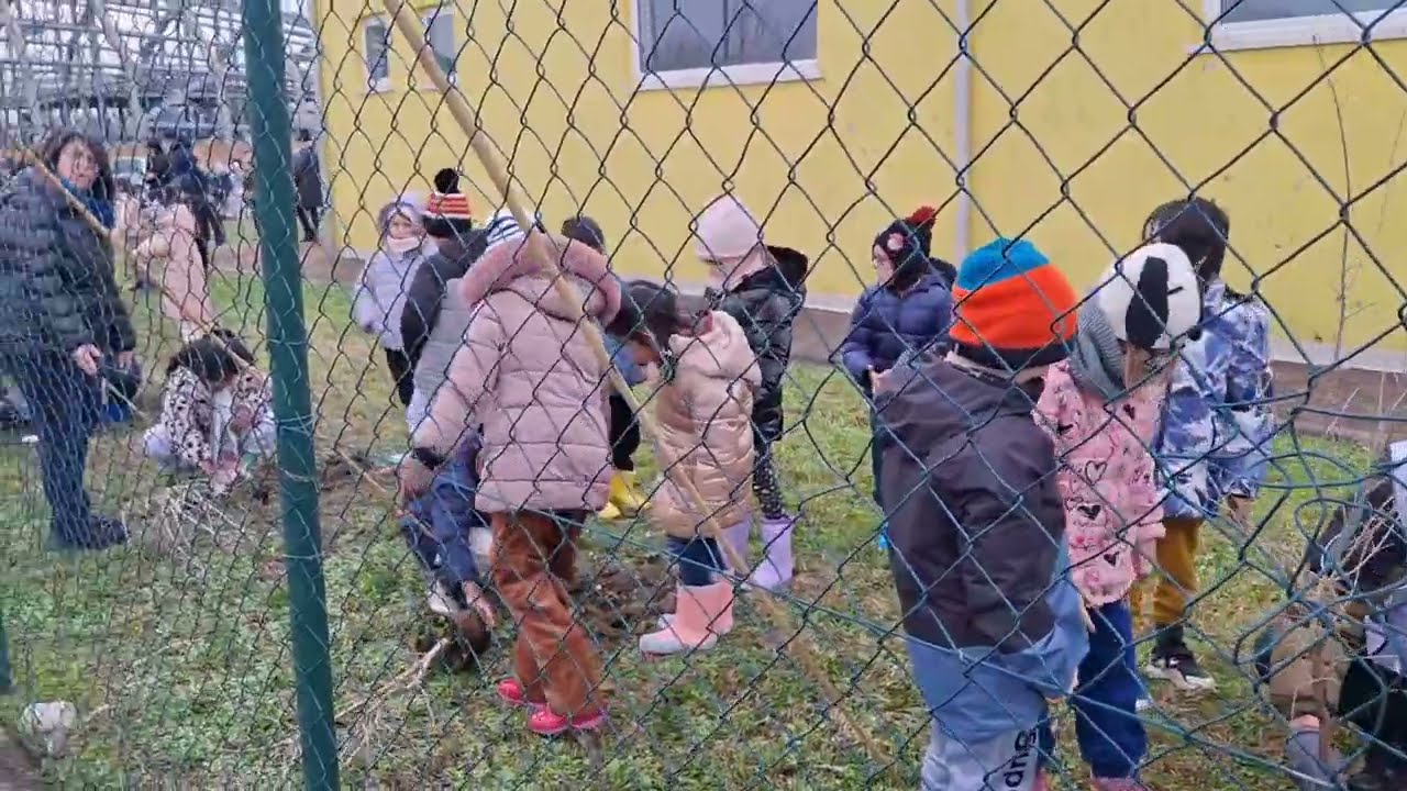 Quaranta nuovi alberi per la scuola elementare di San Felice sul Panaro