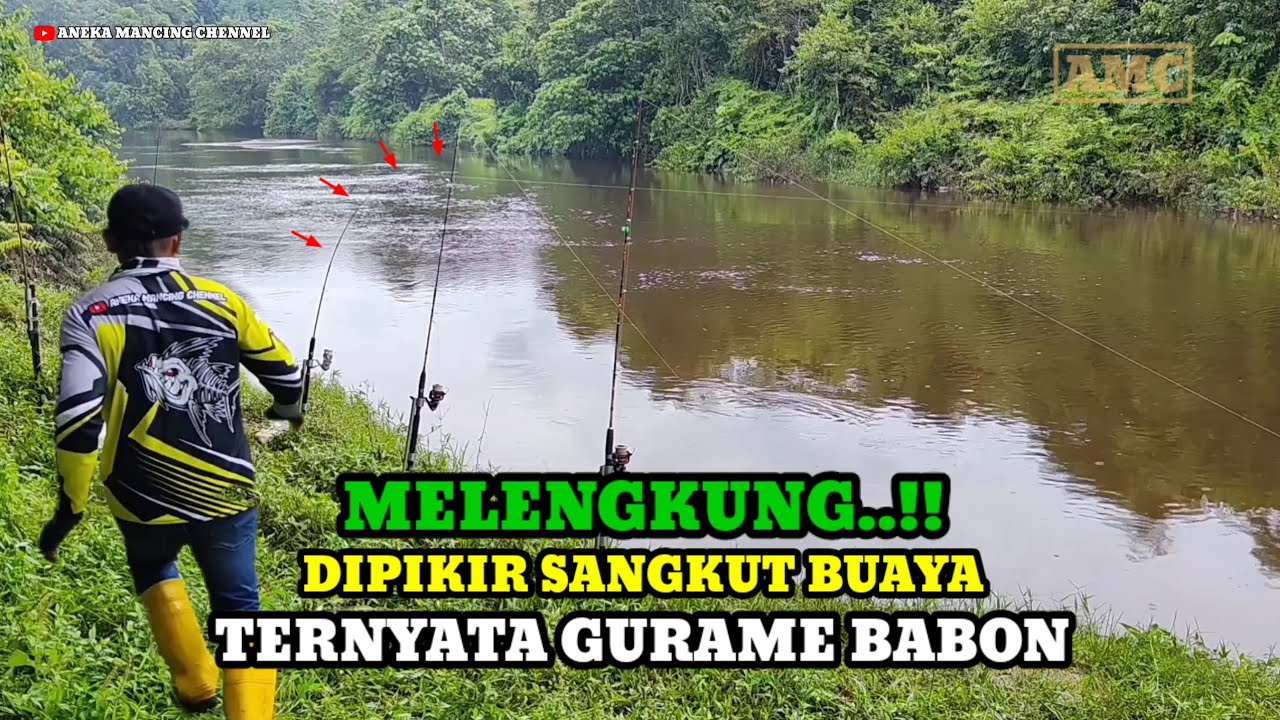 REJEKI..!!Tak Diduga Mancing Ikan Baung Strike Gurame Babon Joran Melengkung