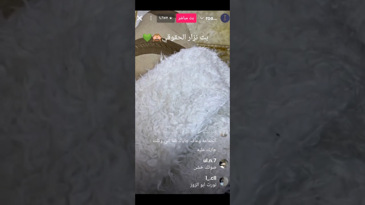 بث نزار الحقوقي انستا #لايك #روايات