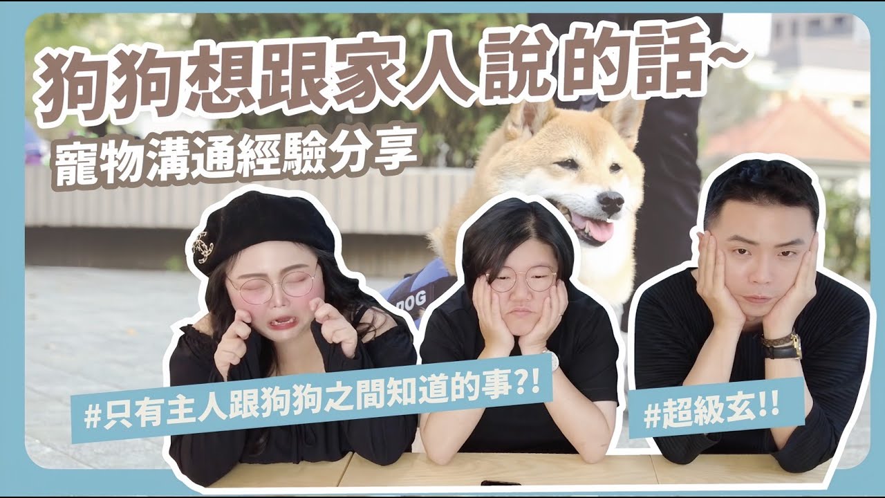 寵物溝通🐶｜寵物生前與離世的溝通有什麼不同？主人的秘密居然被溝通師講出來了？