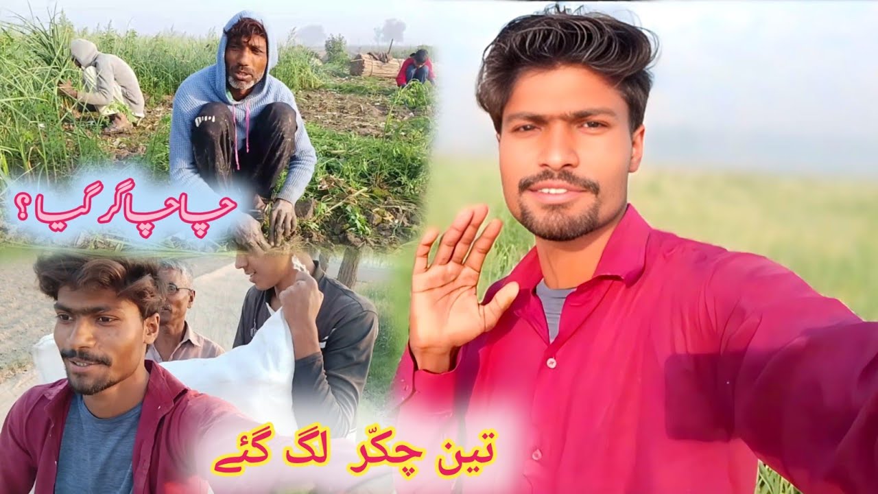 Chachu Gir Gaya  Teen Chakkar Lag Gaye | Raza Gabru