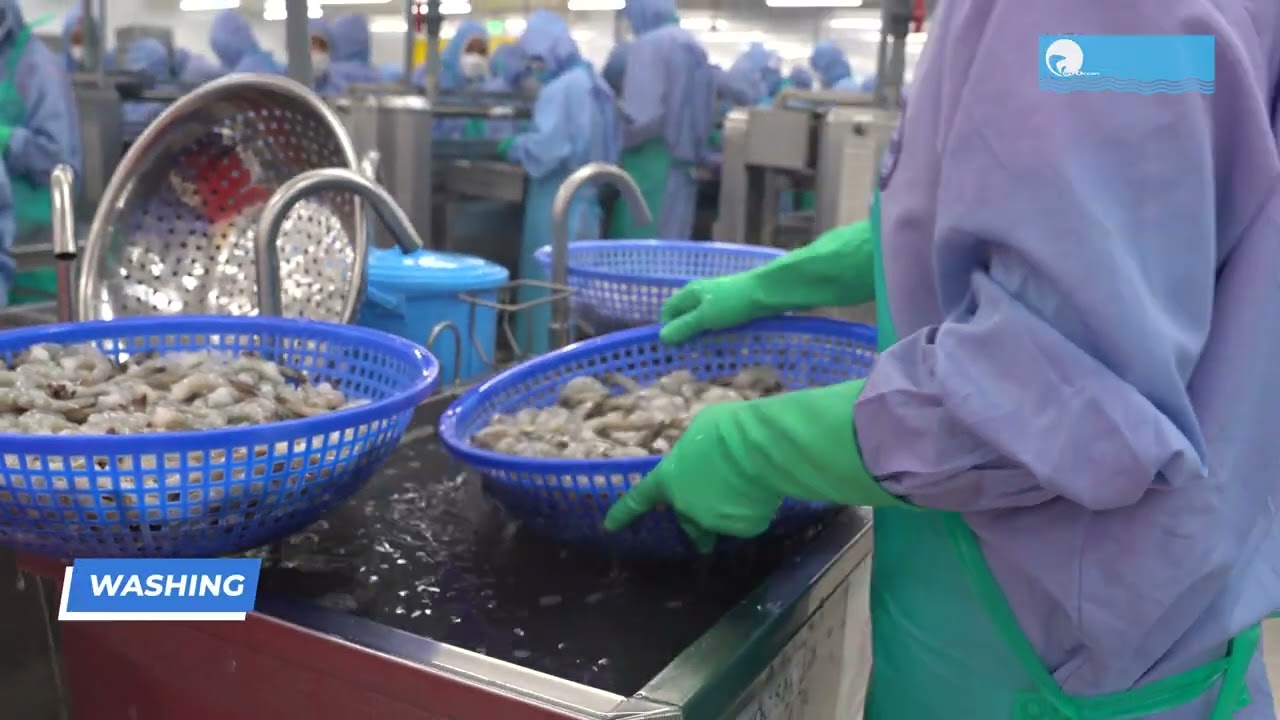 Processing line of Torpedo