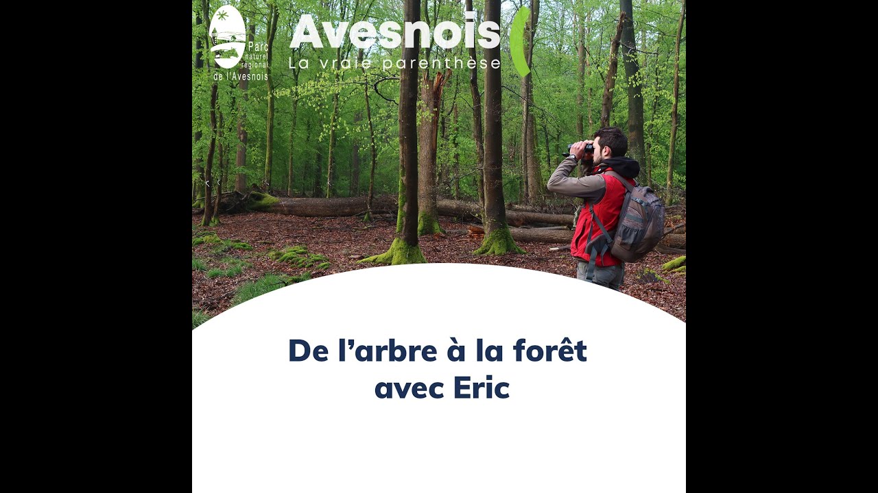 De l'arbre &agrave; la for&ecirc;t avec Eric