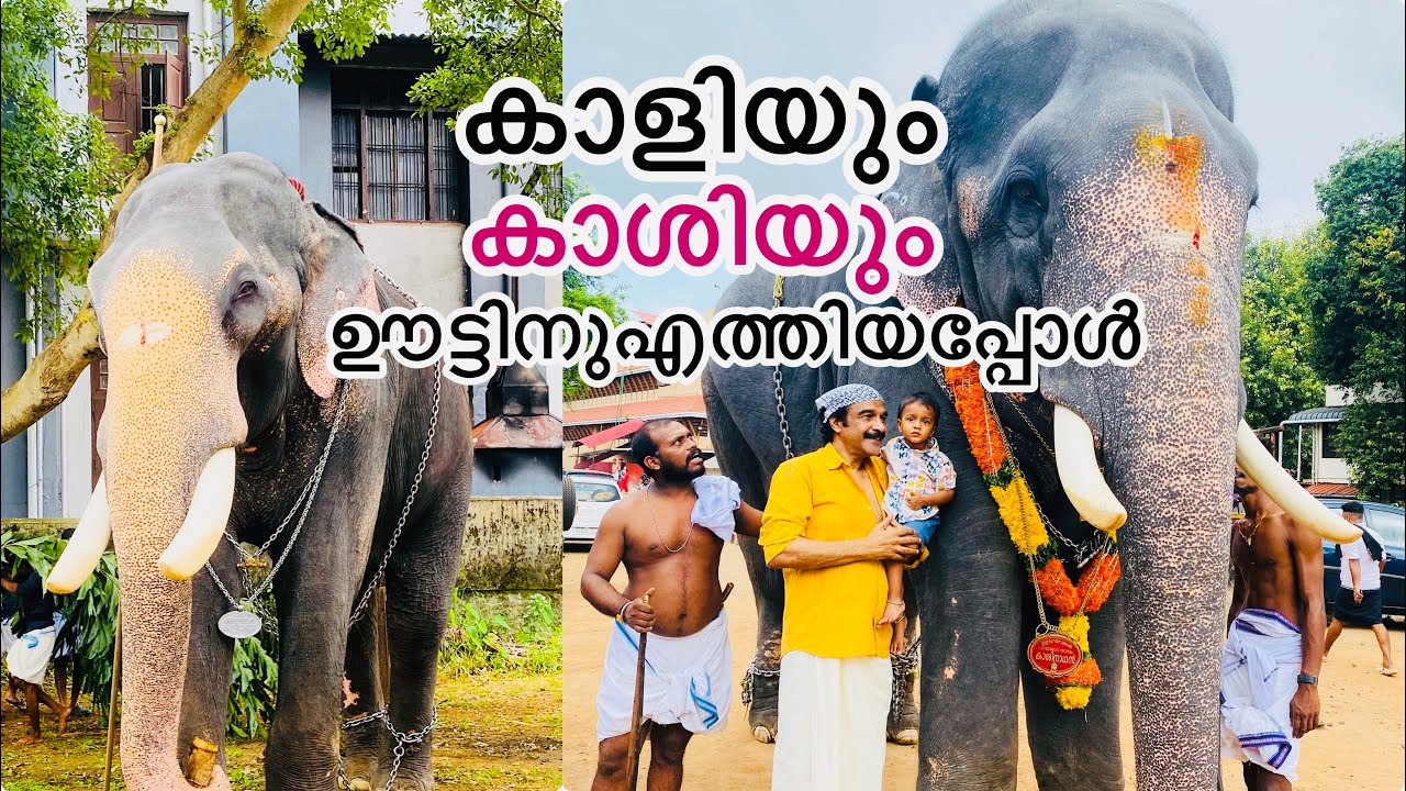 കാളിയും കാശിയും പിന്നെ കൂട്ടുകാരും|sarisway