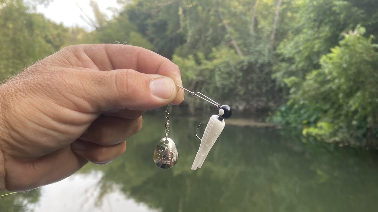 Fishing the Beetle SPIN! This Lure Catches them! How to Fish this Amazing Creek Fishing Lure!