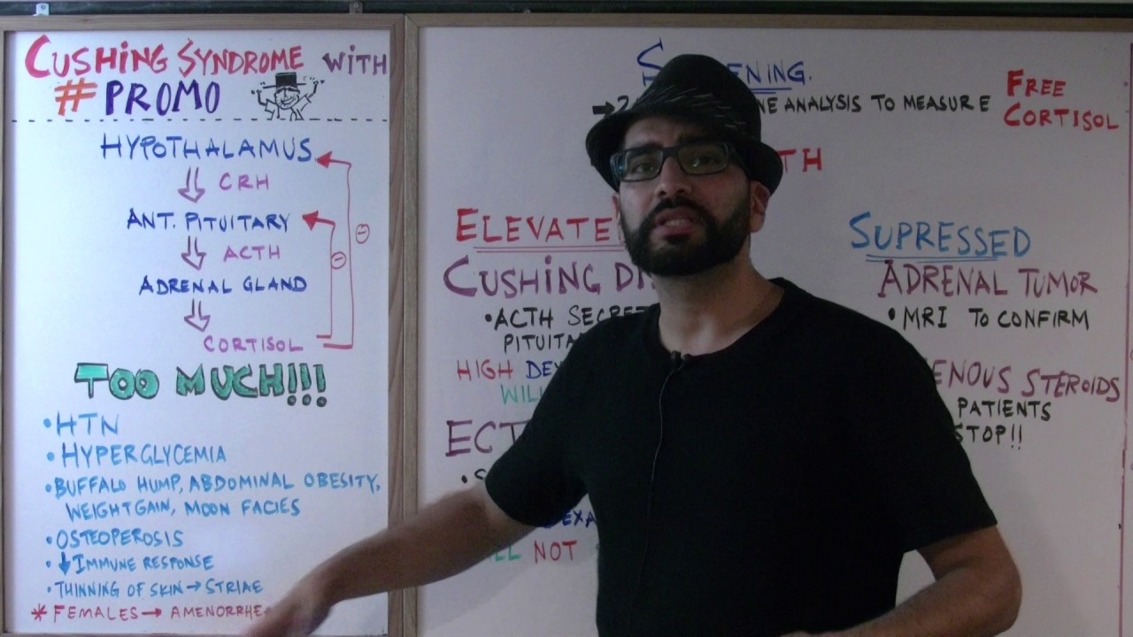 Cortisol hormone Part 2: Cushing's Syndrome - Endocrine #14 // Med School Monday's with #PROMO