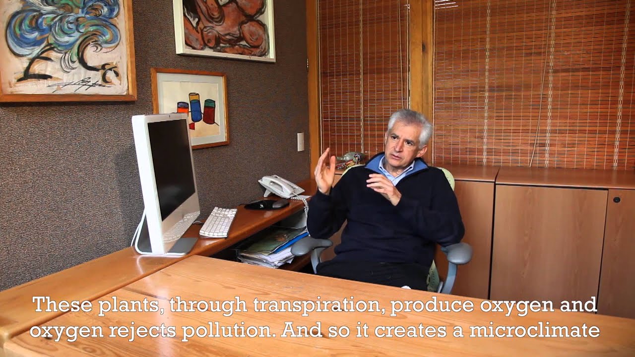 Keynote Address by Javier Senosiain: Bioarchitecture [English Subtitles]