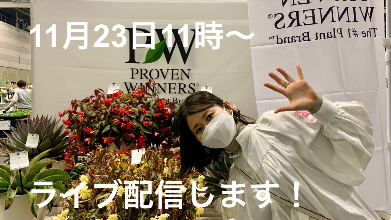【Live】11月23日11時AM〜質問コーナー！お答えします🌸