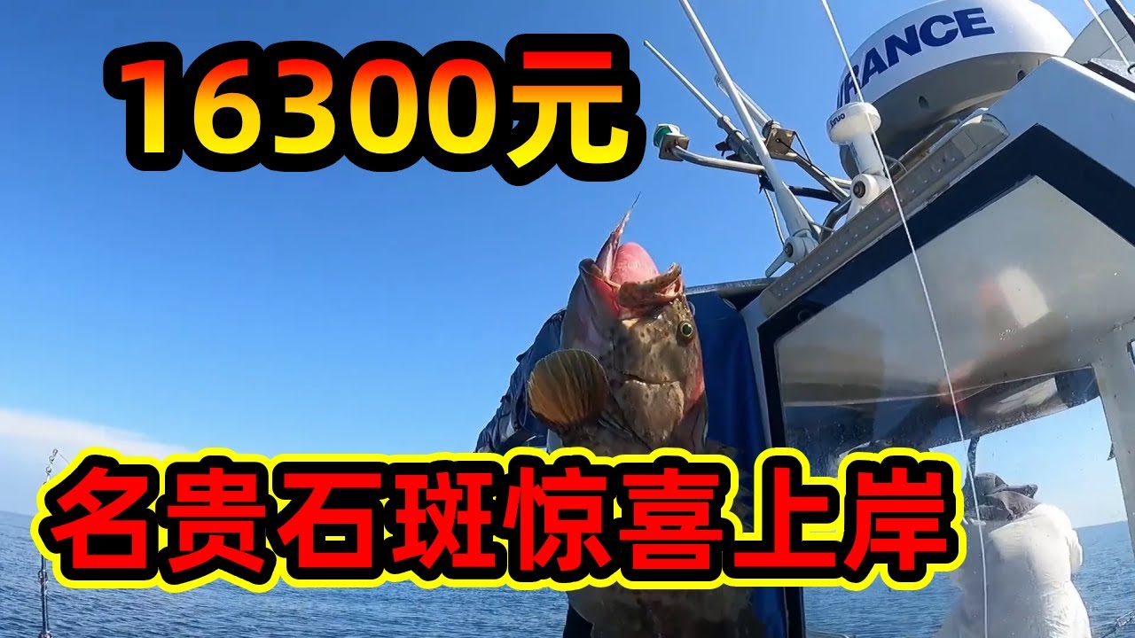 今天又是一場豪賭，選擇了滿載而歸，16300元名貴石斑驚喜上岸！ #夜釣#釣魚#大魚