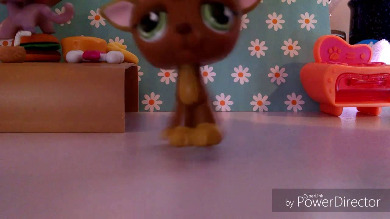 Lps cooking show gone wrong