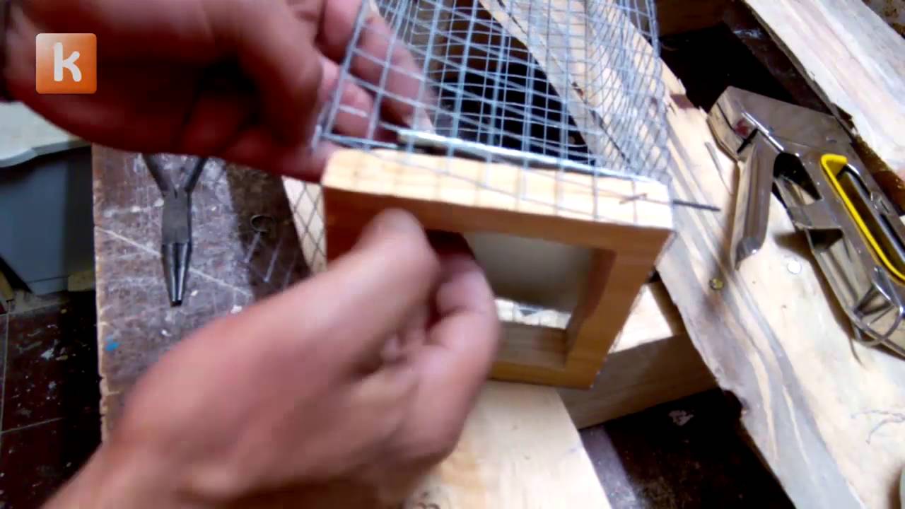 Trampa ratones/ratas artesanal