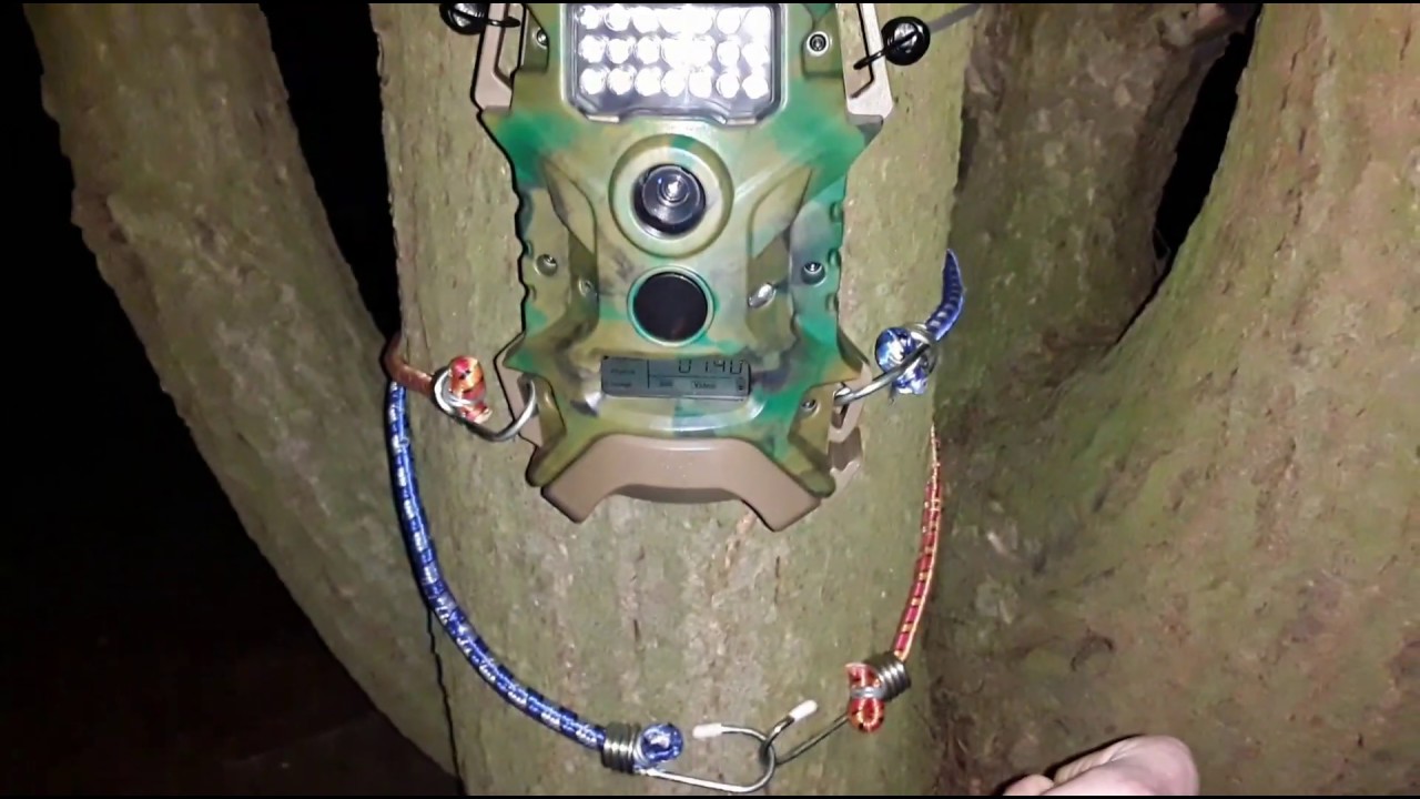 How to view trail camera footage on windows desktop