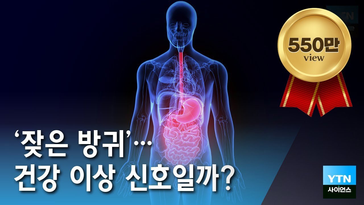 잦은방귀, 건강 이상 신호일까? 💨 방귀로 알아보는 건강 / YTN 사이언스