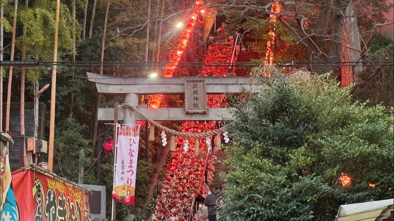 『KANAGAWA 』【座間神社】🎎ひな祭り🎎【Zama Shrine】神奈川県座間市　#神社#jinja #japan