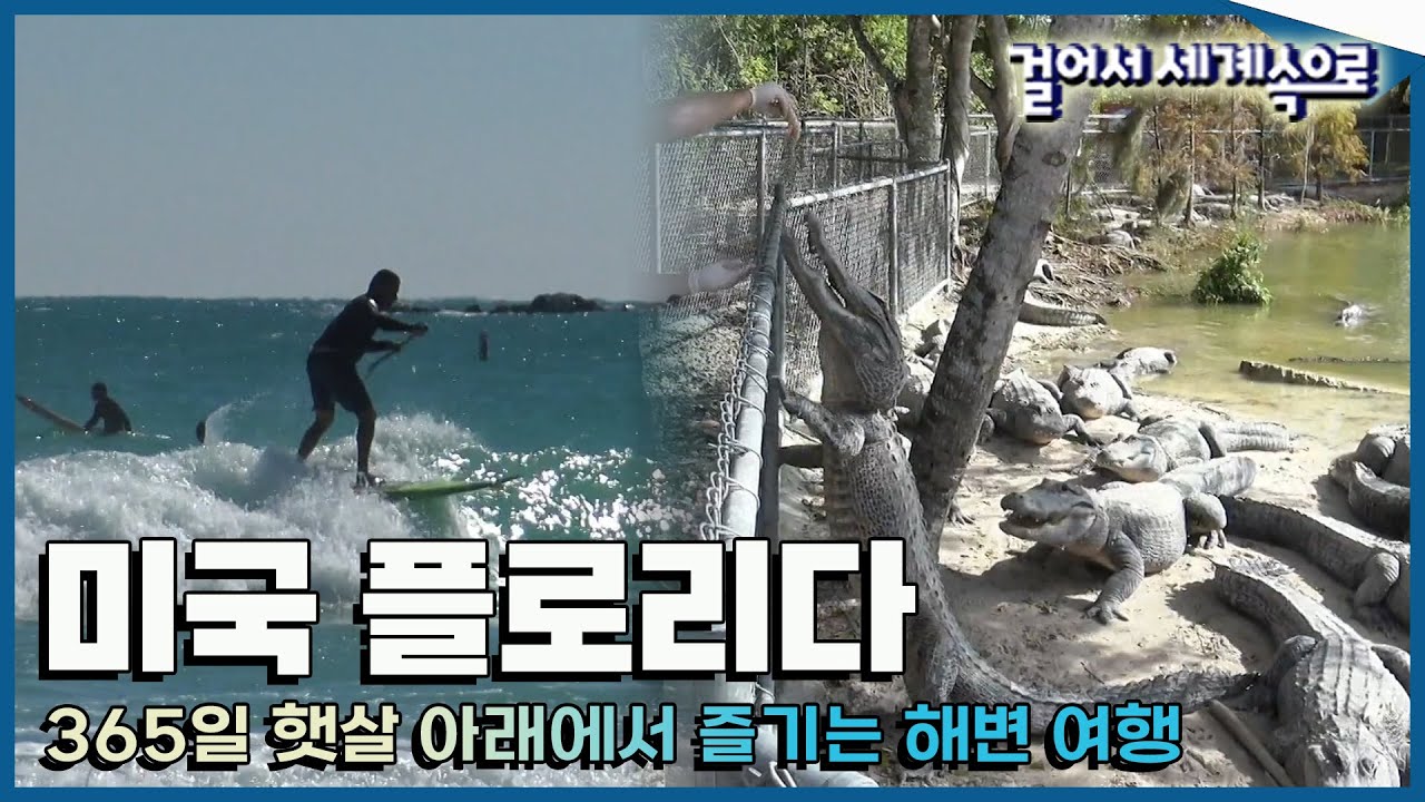 [#걸어서세계속으로Full📺] 야생동물 낙원이자 신대륙 발견의 역사를 지닌, 다채로운 재미가 가득한 '미국 플로리다' 여행 Trip to Florida (KBS_20160312)