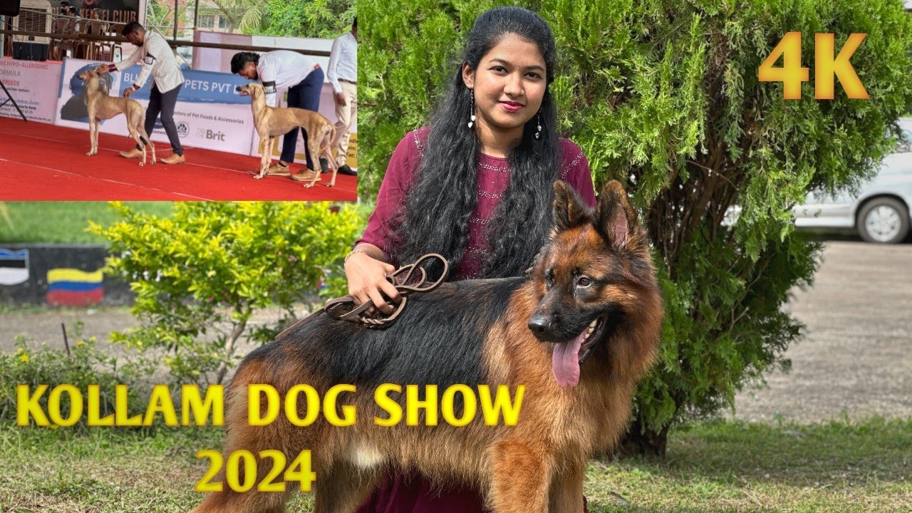 KOLLAM DOG SHOW 2024 | dog show 2024 | All India dog show 💕