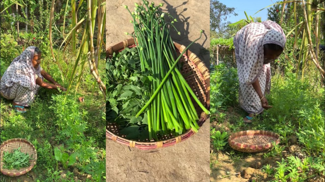 Simple Village Recipe 🌿 | Veto Shaak with Onion Greens Fry