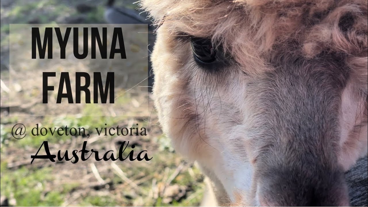 Myuna Farm | Doveton, Victoria