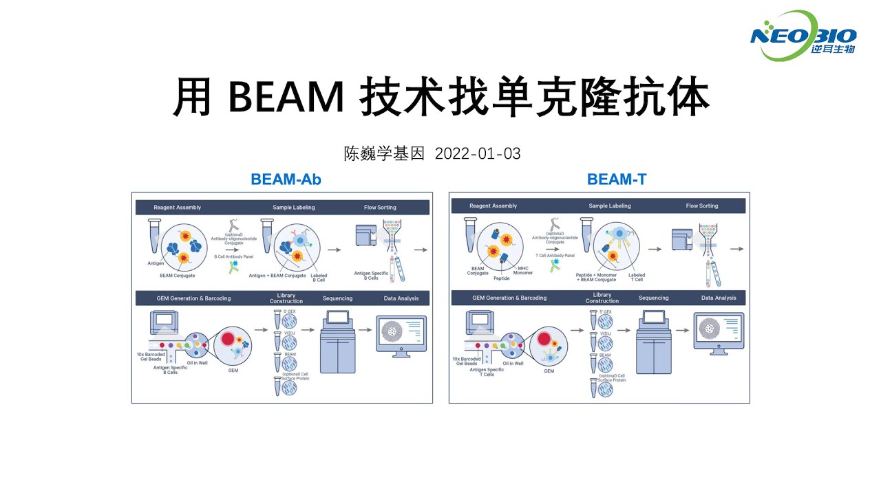 【陈巍学基因】第100期：用BEAM技术找单克隆抗体