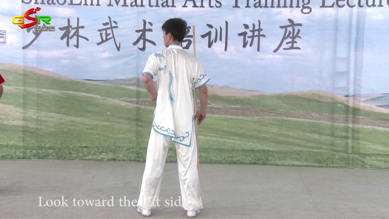 Shaolin Yin hand Stick 3