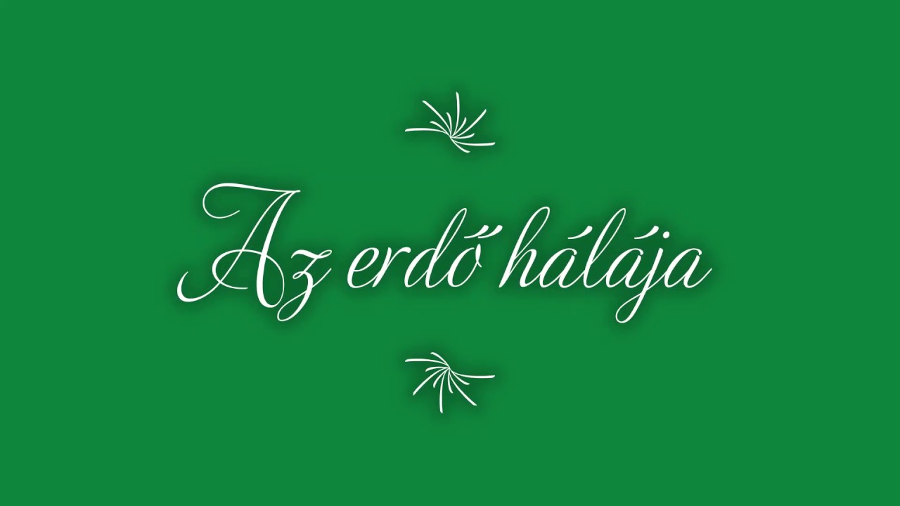 Az erdő hálája
