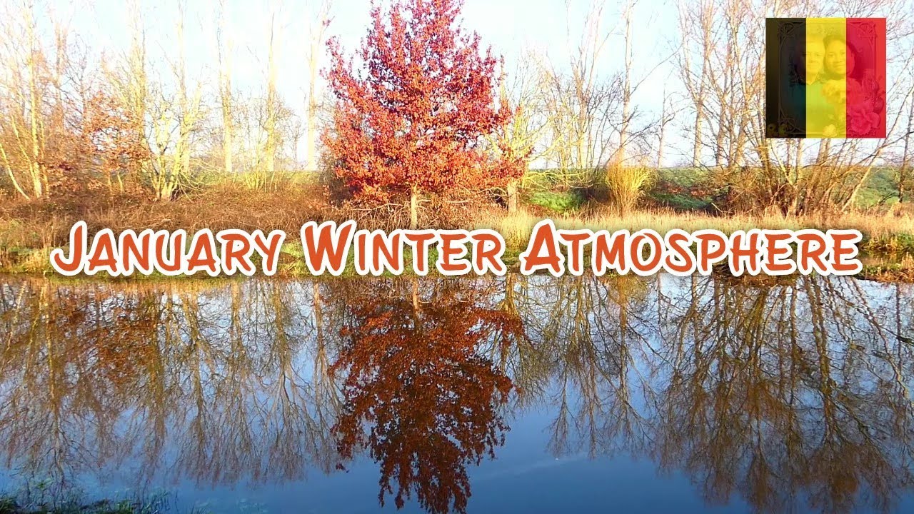 BEAUTIFUL WINTER ATMOSPHERE // LIMBURG-BELGIUM // ELLA'SLIFE