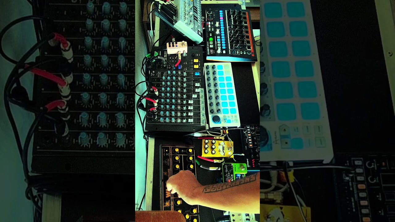 [Drumbrute Impact] + [TD-3] + [WASP] + [J-6]