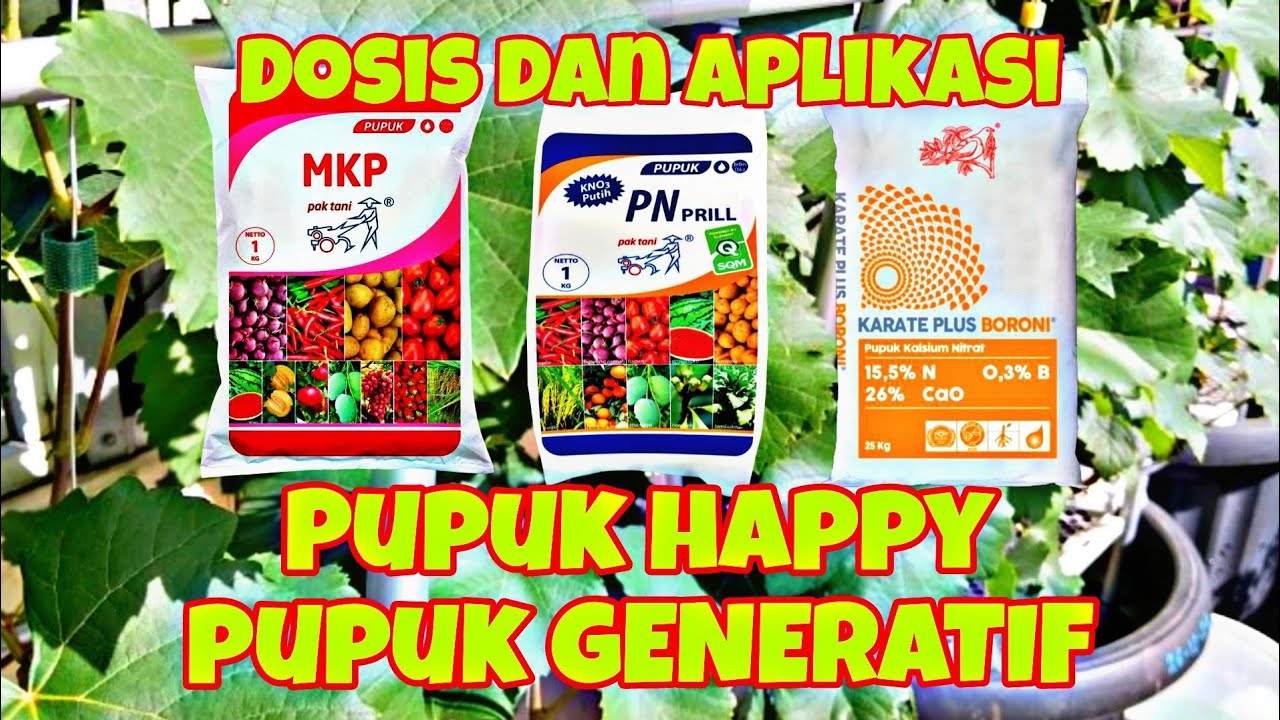 Pupuk Pembuahan Anggur - Pupuk Happy - Pupuk Generatif