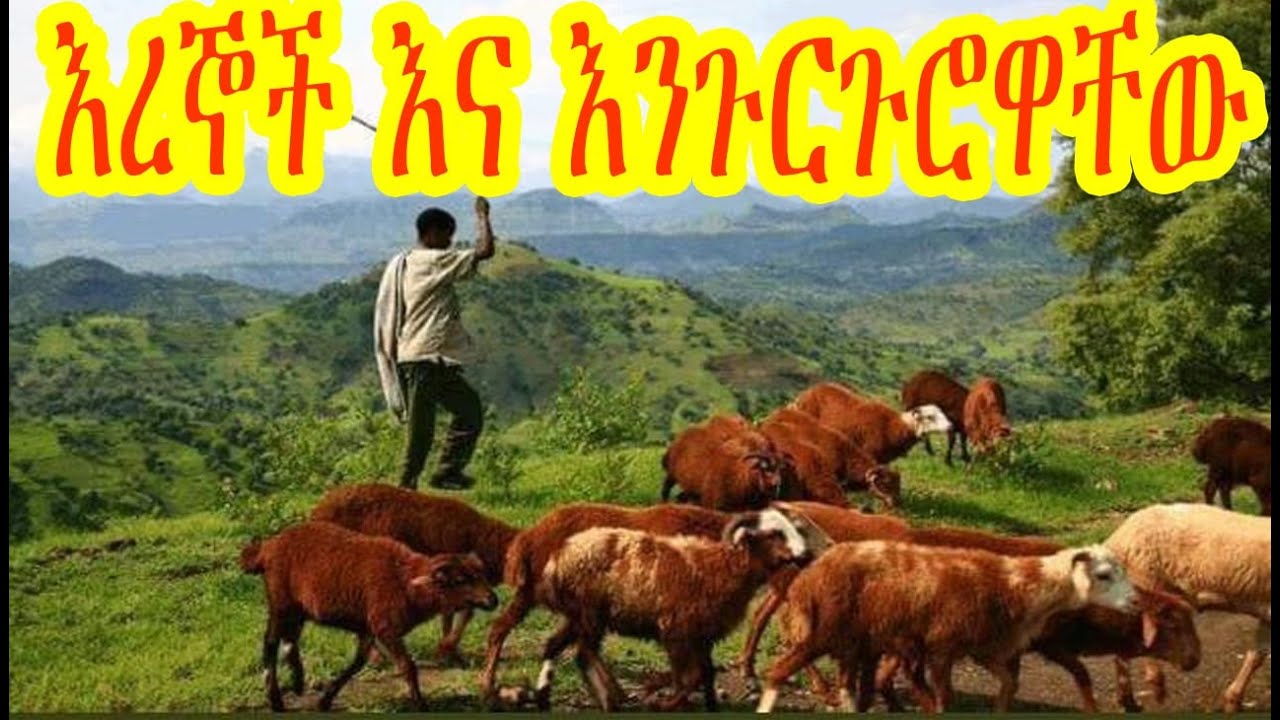 የእረኞች ብሶት ግጥሞች እና የጅራፍ ግጥሞች- መጋቢት 27፣ 2014