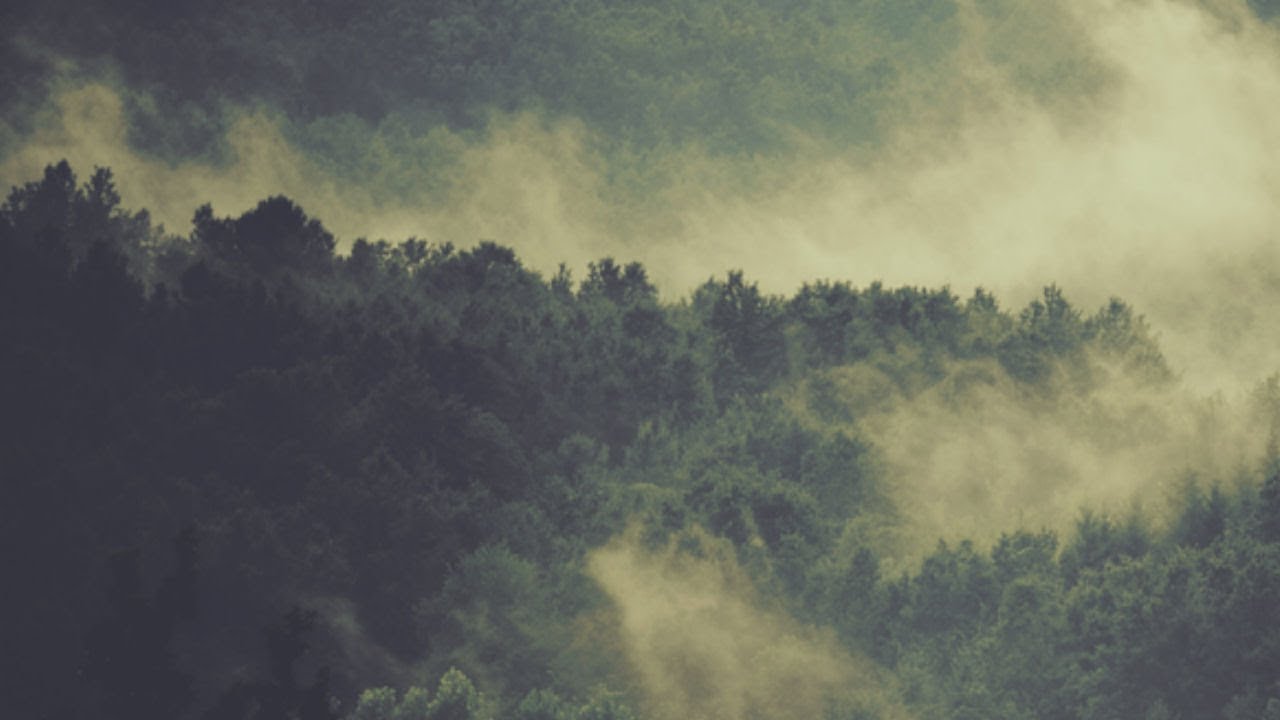 Sho (Absys Records) - Atmoteka 2.9 | Drum & Bass Mix